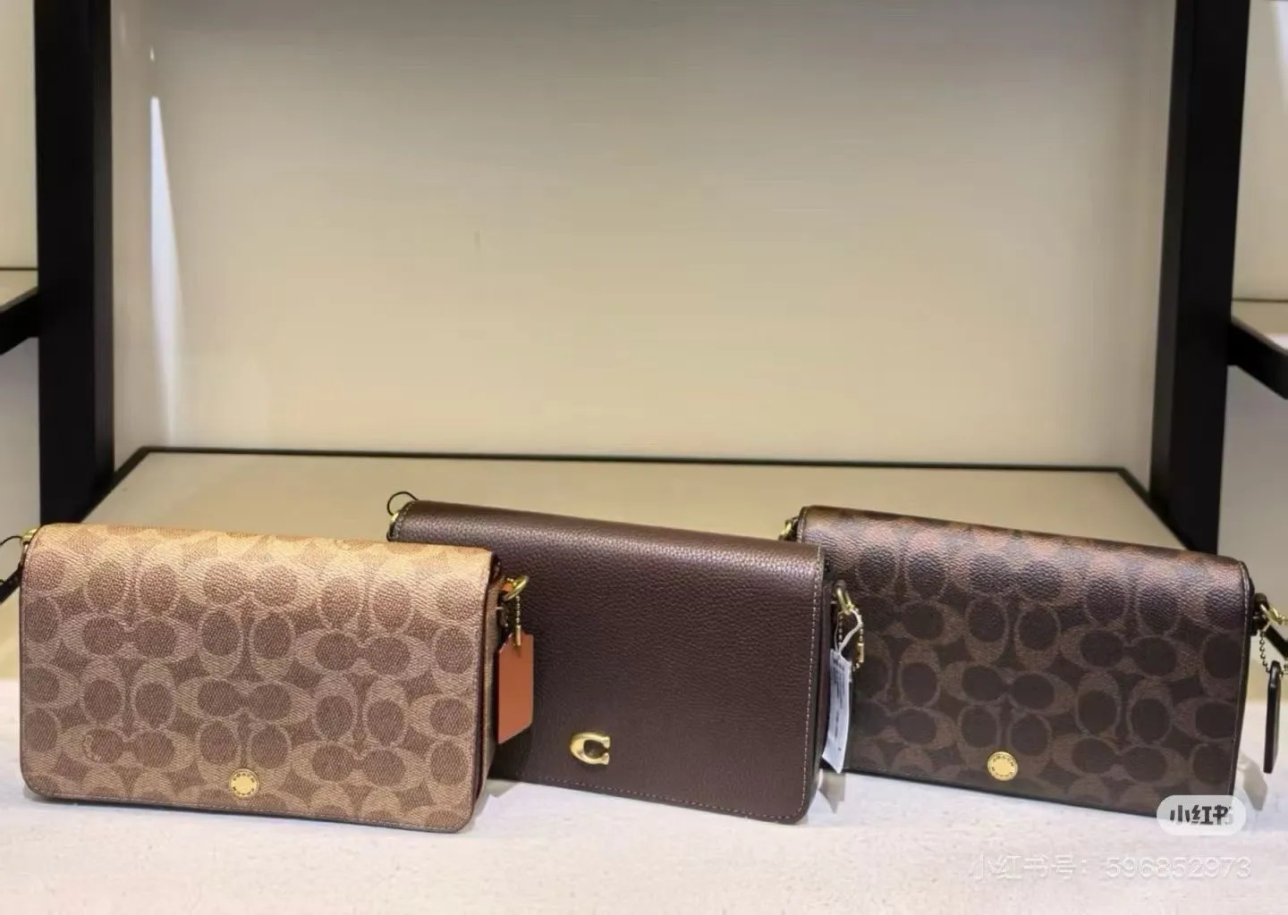 All Categories Coach Women's Bags (COACH) CAO03