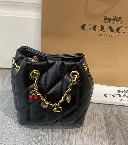 All Categories Coach Women's Bags (COACH) Coach CES62