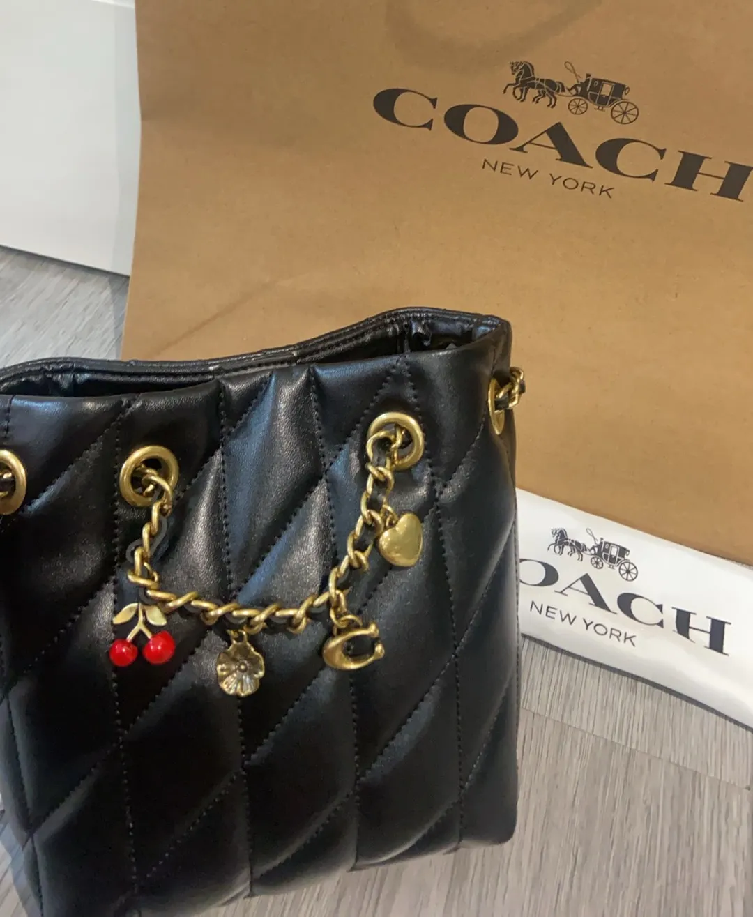 All Categories Coach Women's Bags (COACH) Coach CES62