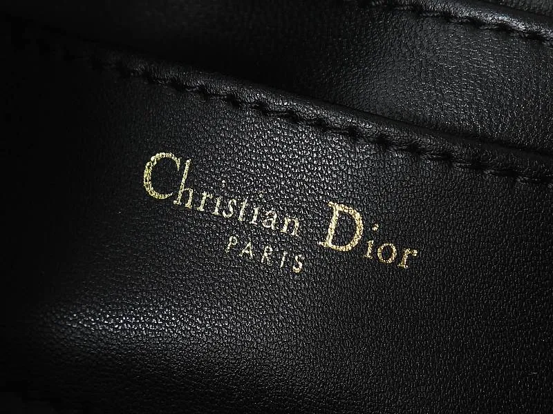 All Categories Official Website "Brand Women's Bags" Women's Bags 💙 DIOR 2026 New DIOR Crossbody Bag