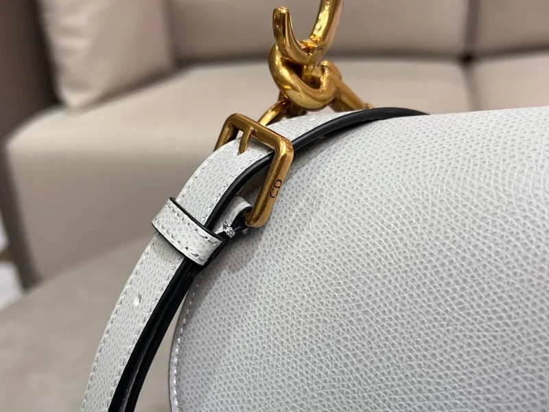 All Categories Official Website "Brand Women's Bags" Women's Bags 💙 DIOR 2026 New DIOR Crossbody Bag