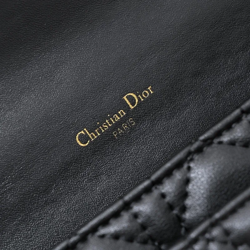 All Categories Official Website "Brand Women's Bags" Women's Bags 💙 DIOR 2025 New DIOR Crossbody Bag