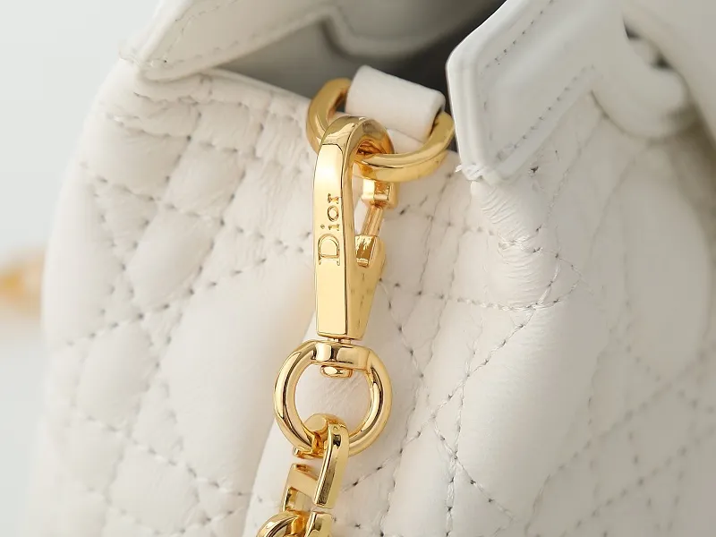 All Categories Official Website "Brand Women's Bags" Women's Bags 💙 DIOR 2026 New DIOR Crossbody Bag