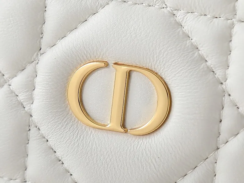 All Categories Official Website "Brand Women's Bags" Women's Bags 💙 DIOR 2026 New DIOR Crossbody Bag