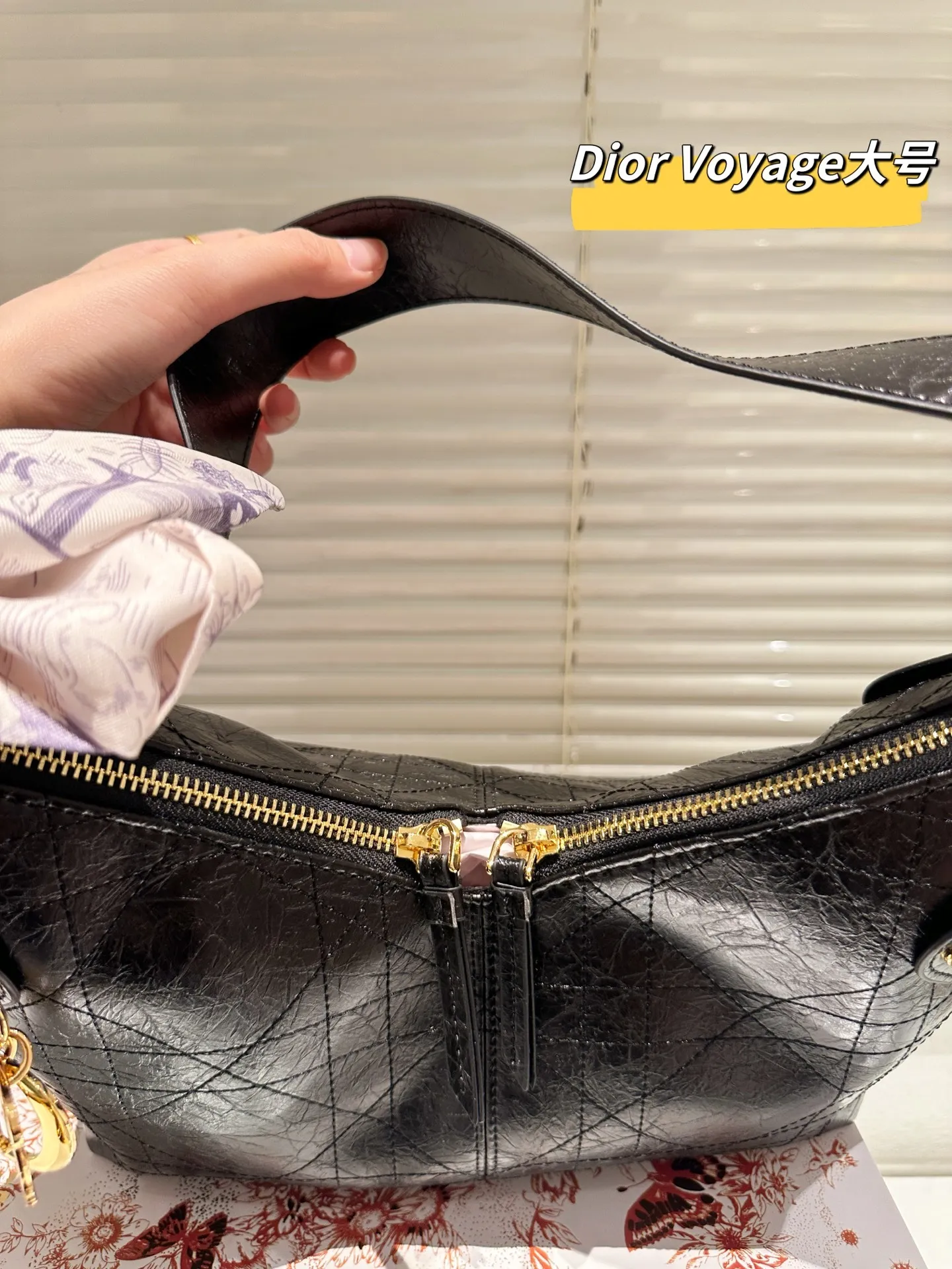 All Categories Official Website "Brand Women's Bags" Women's Bags 💙 DIOR 2025 New DIOR Crossbody Bag