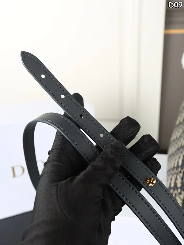 All Categories Official Website "Brand Women's Bags" Women's Bags 💙 DIOR 2025 New Dior Underarm Bag