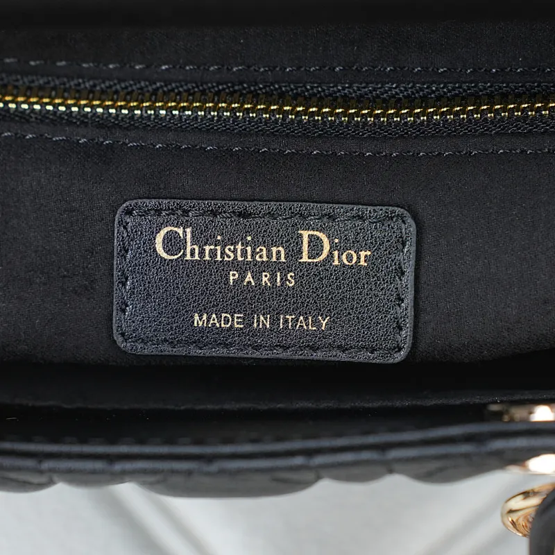 All Categories Official Website "Brand Women's Bags" Women's Bags 💙 DIOR 2026 New DIOR Handbags