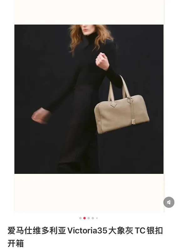 All categories Hermès women's bags (Hermès) Hermès 3535