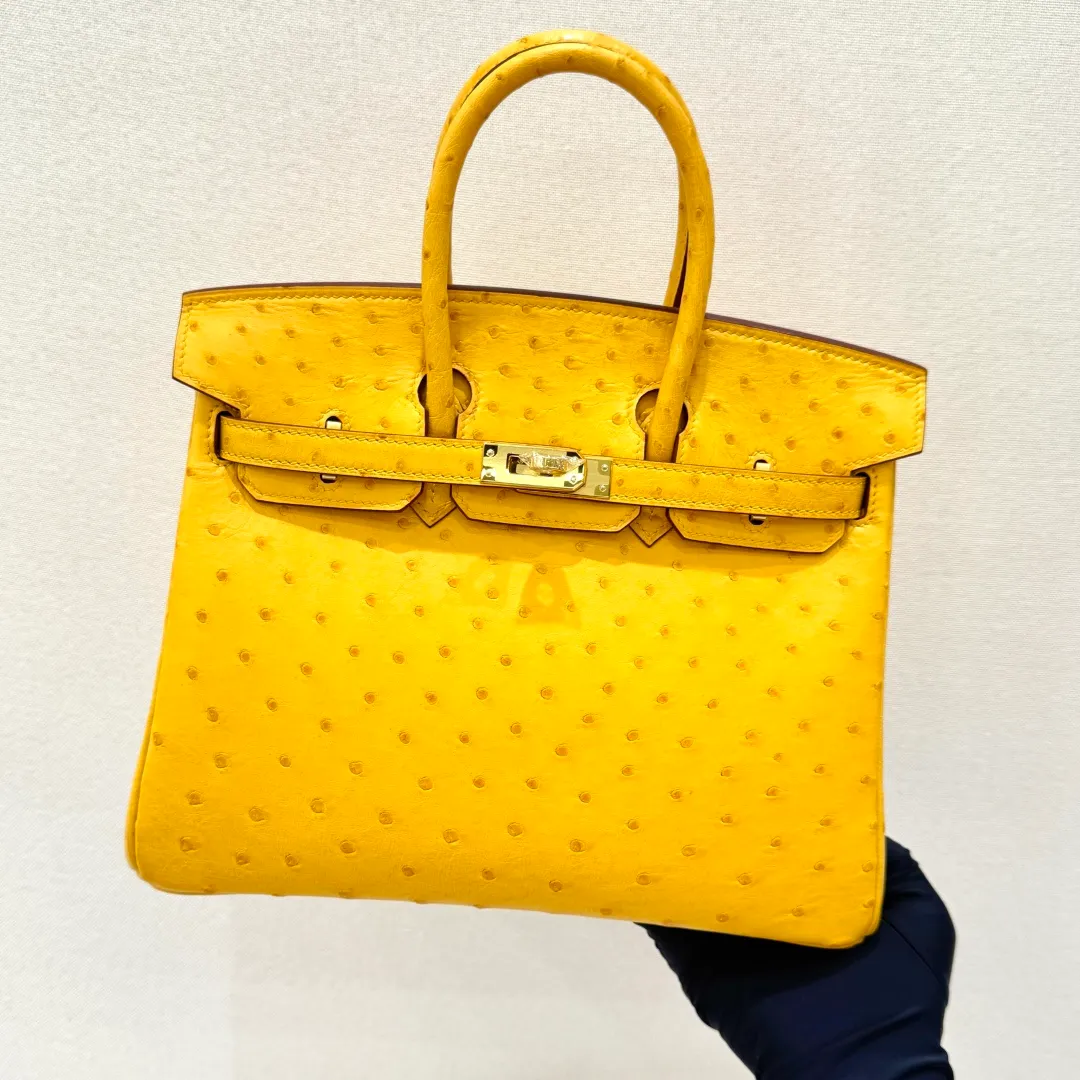 All categories Hermès women's bags (Hermès) Hermès BK25