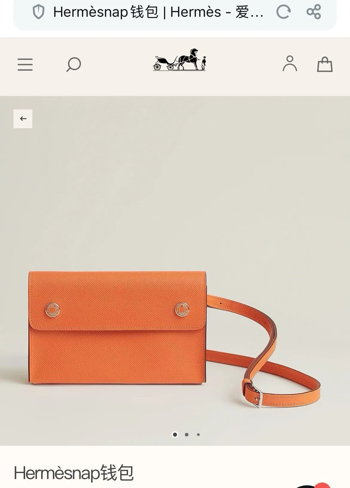 All categories Hermès women's bags (Hermès) Hermès 363 palm print