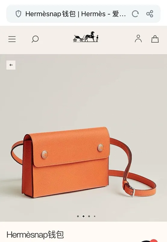 All categories Hermès women's bags (Hermès) Hermès 363 palm print