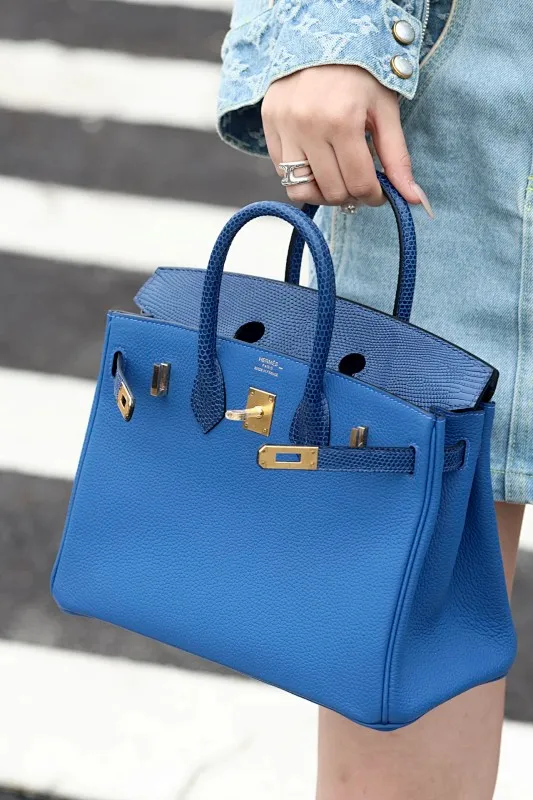 All Categories Hermès Women's Bags (Hermès) Hermès 25 Color Matching