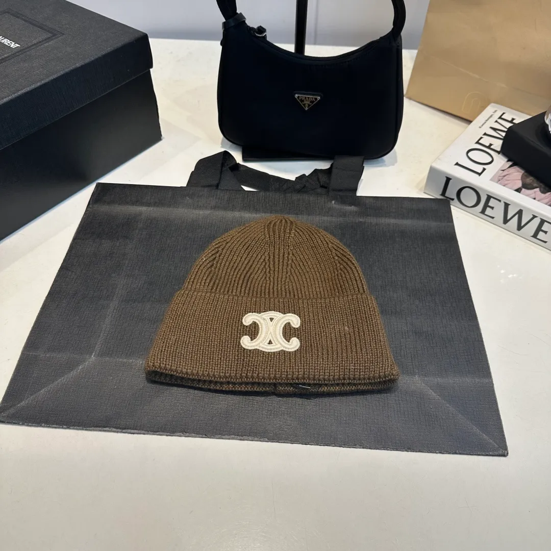 P60 Celine Celine 2025 autumn and winter new wool hat, knitted hat for men and women