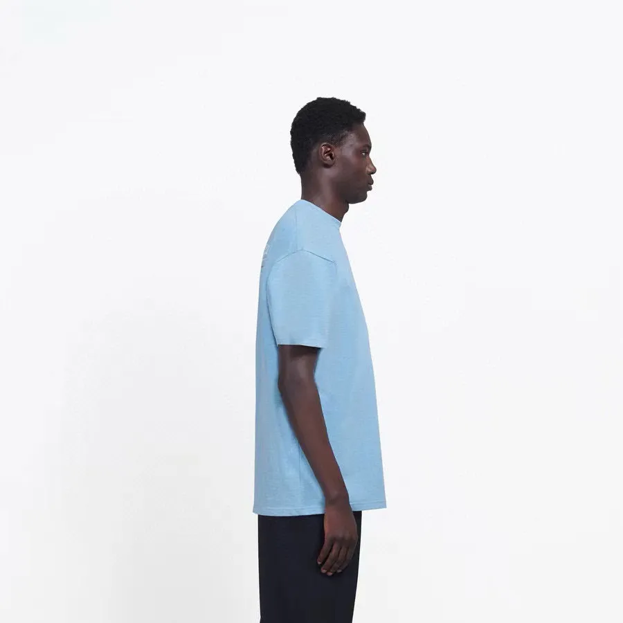 Model picture