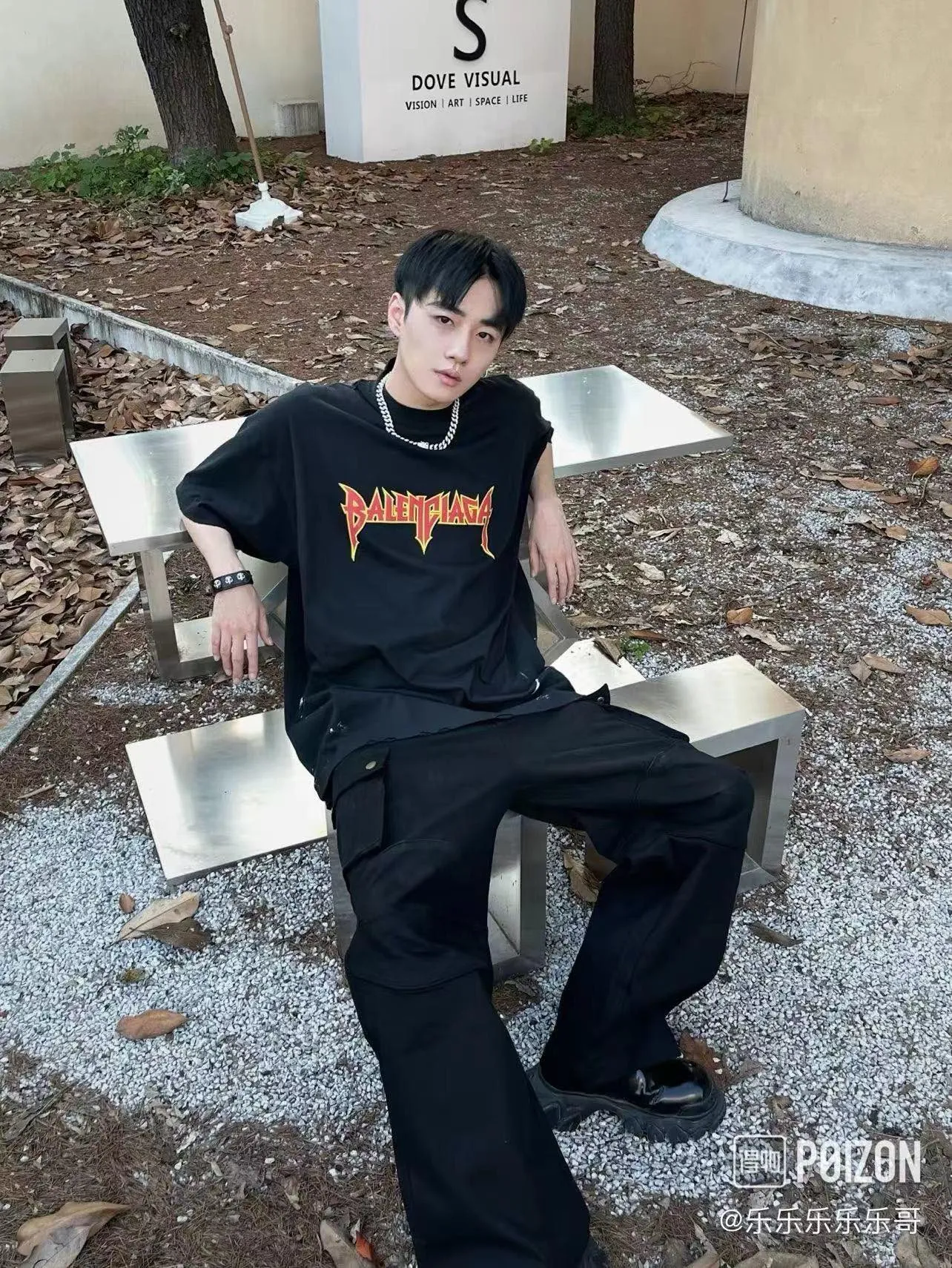 Model picture