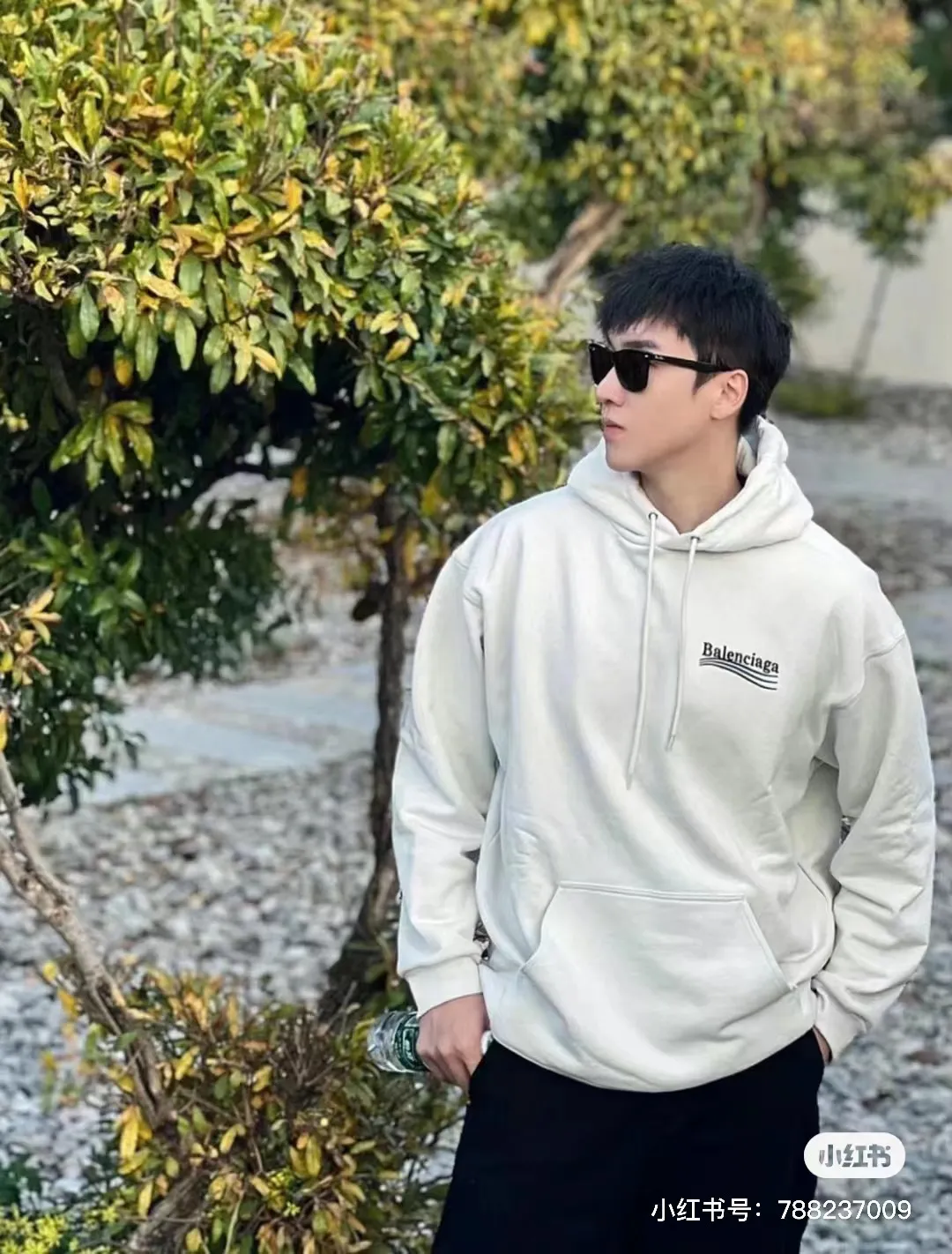 Model picture