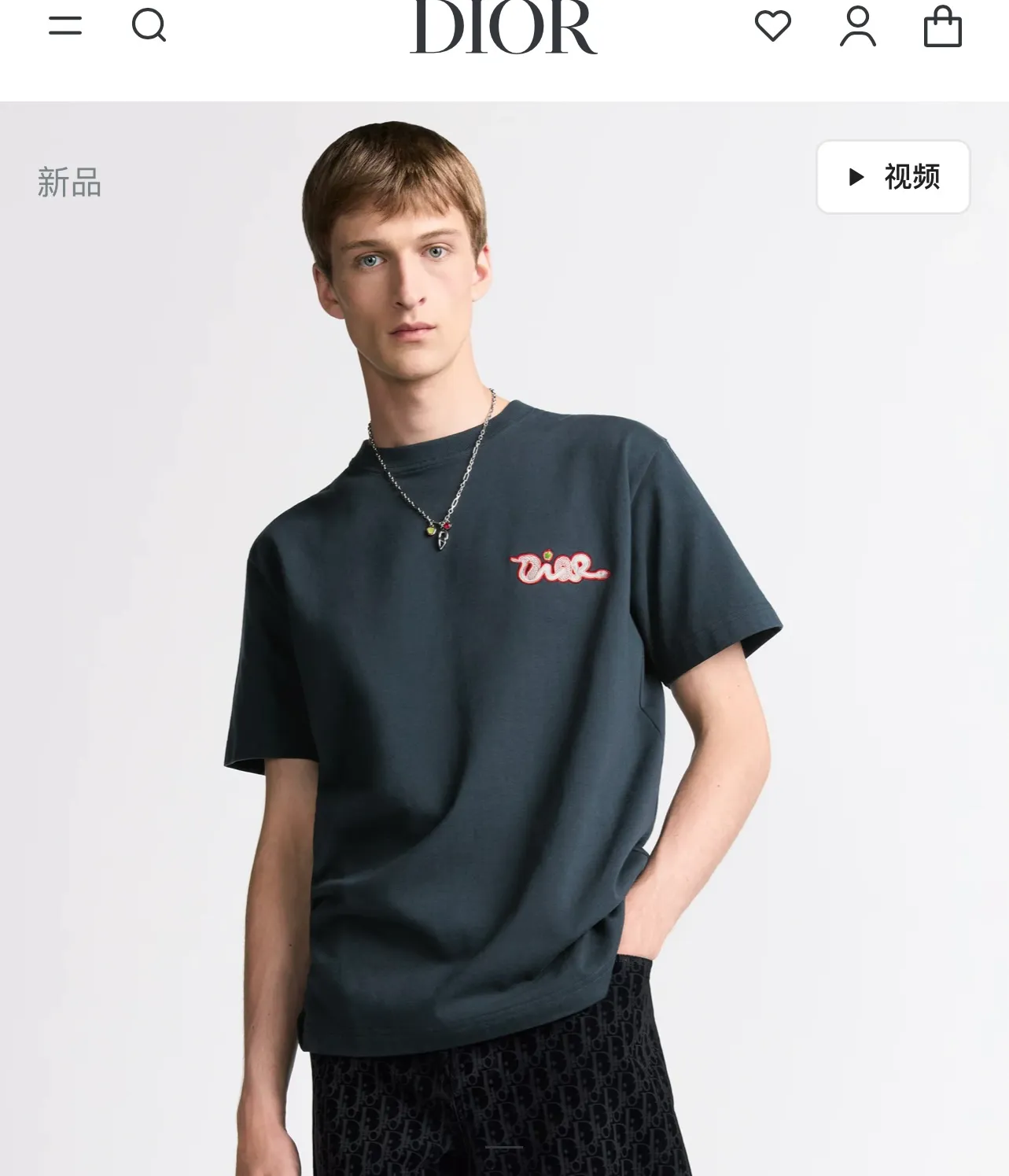 model picture