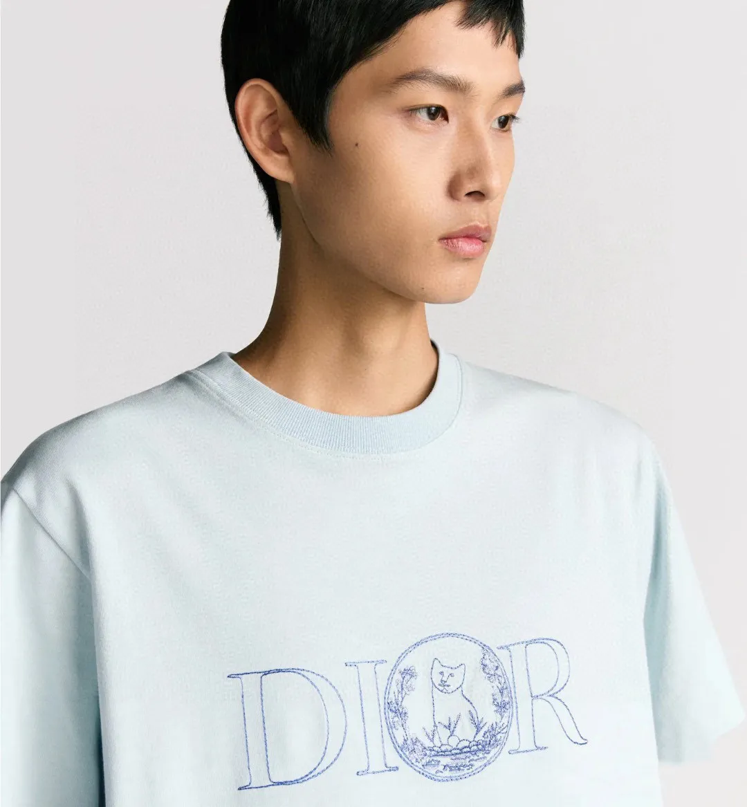 model picture