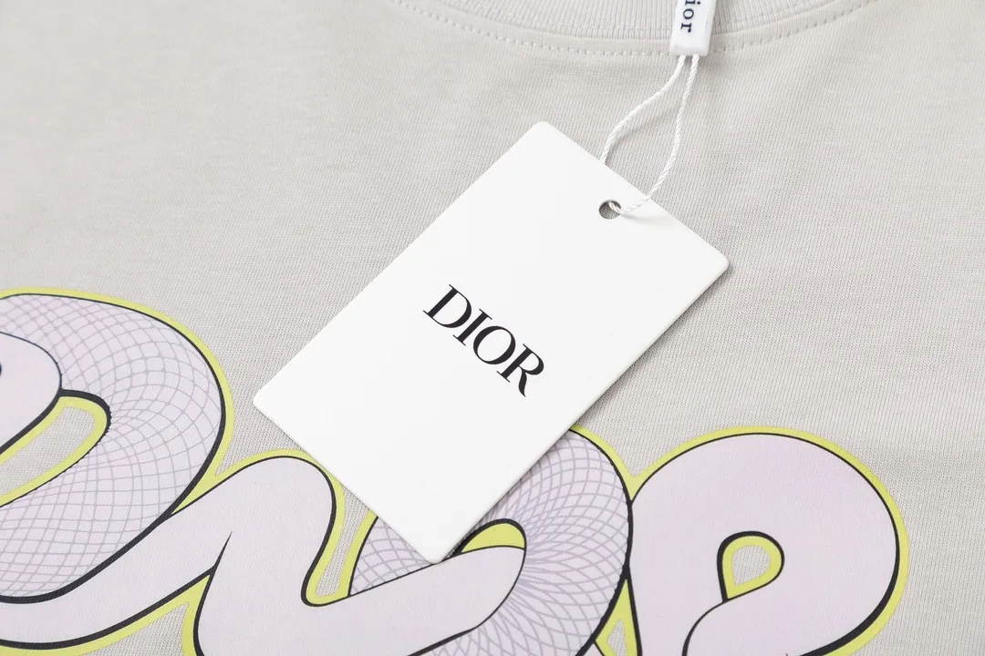 🅿️170 Dior Dior joint KAWS series 2025 new style snake-shaped letter logo Uniform short-sleeved T-shirt for men and women ·Customized 280g 100% double yarn pure cotton fabric ·Dyeing 32 count double-strand thread ·Kangli digital direct printing process ·Collar label, hangtag, main mark and three labels complete Color: Gray Size: XS S M L