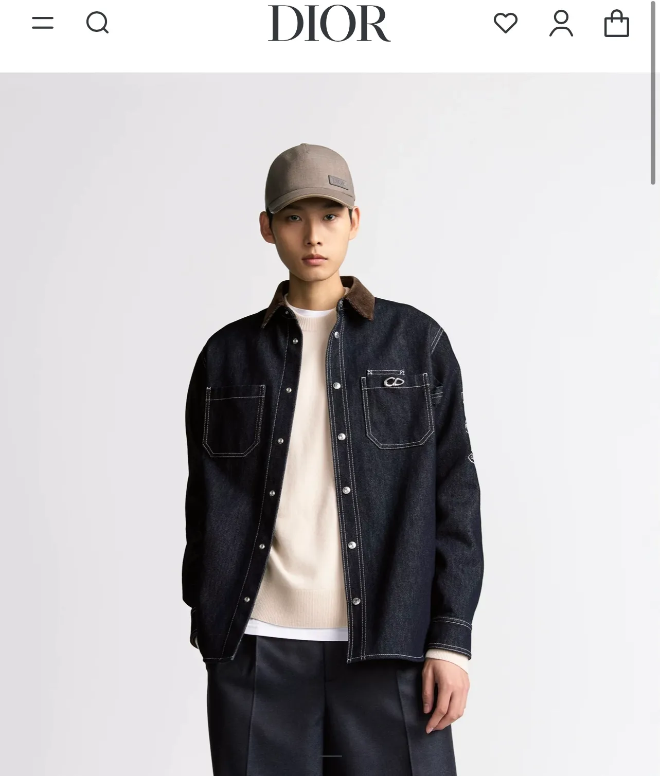 model picture