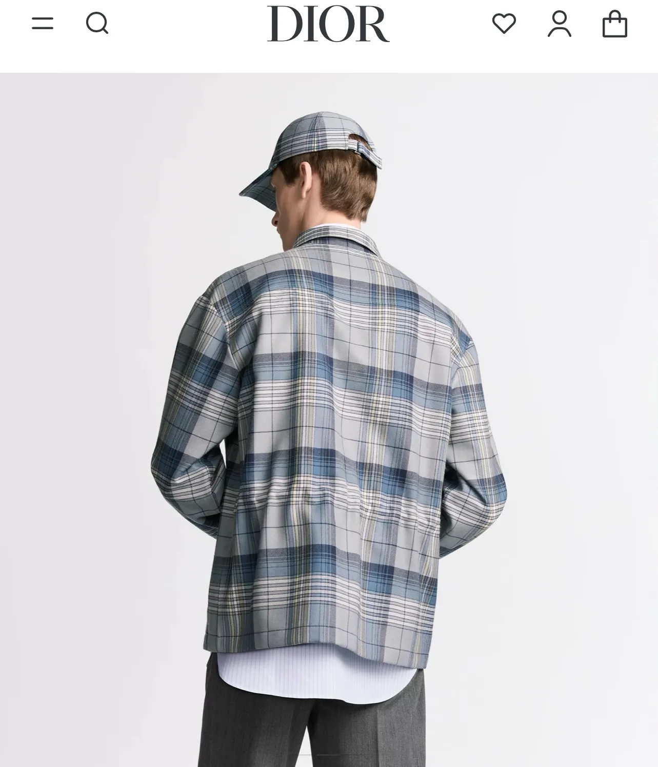 model picture