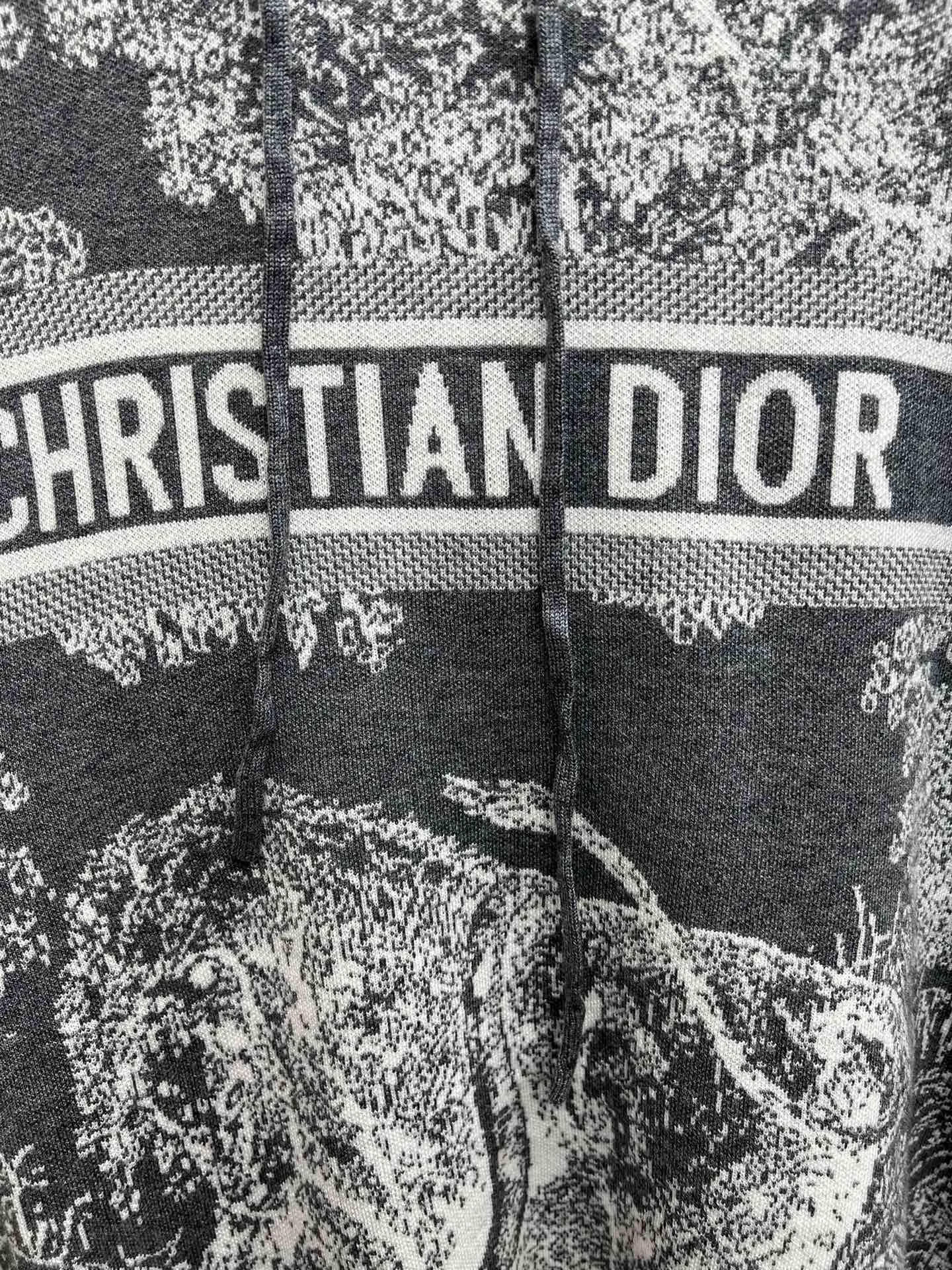 🅿️680 complete set of Dior 25ss new letter logo Rui jungle jacquard loose hooded long-sleeved pullover knitted sweatshirt! Size: S.M.L.