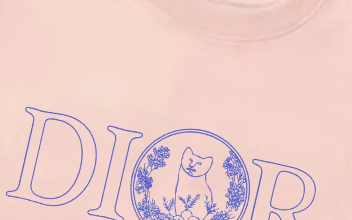 🅿️170 (arrives the next day) DIOR Dior 2025 new line cat letter logo, same style for men and women, short-sleeved T-shirt ·Customized 300g 100% double yarn pure cotton fabric ·Design dyed 32 double-strand threads ·Collar label, hangtag, main mark and three labels complete Color: pink Size: XS S M L