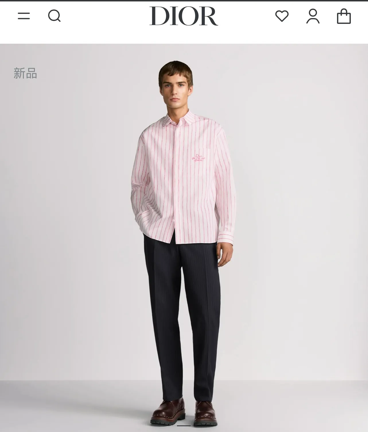 model picture