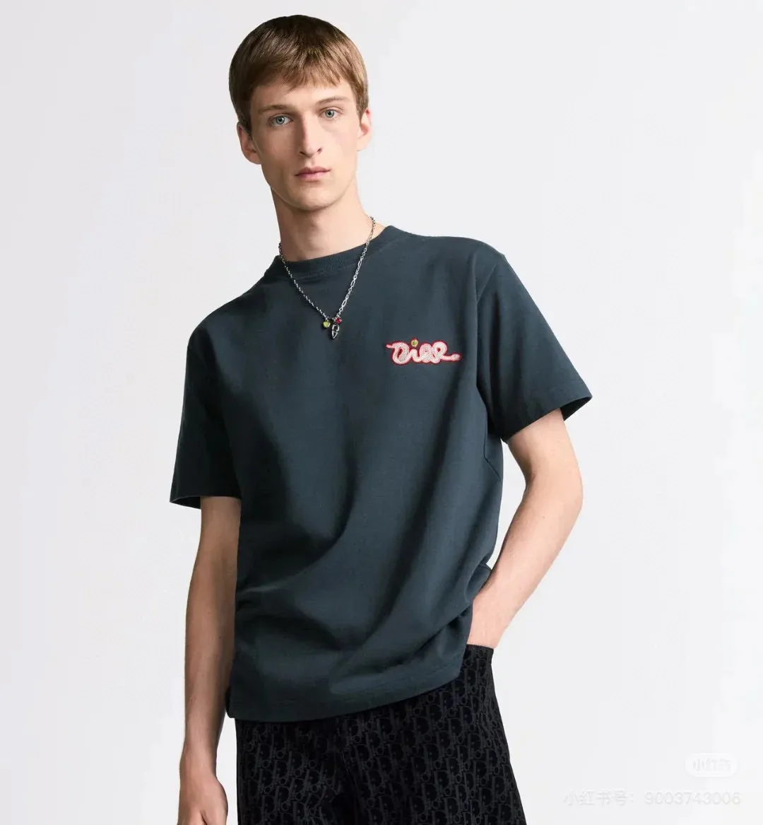 model picture
