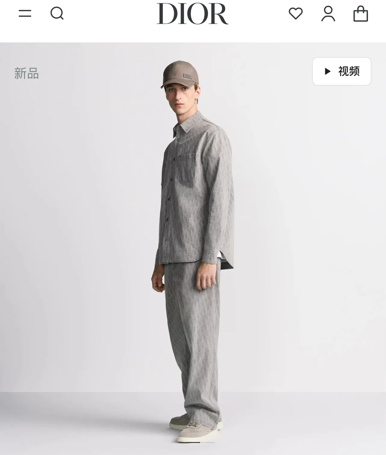 model picture