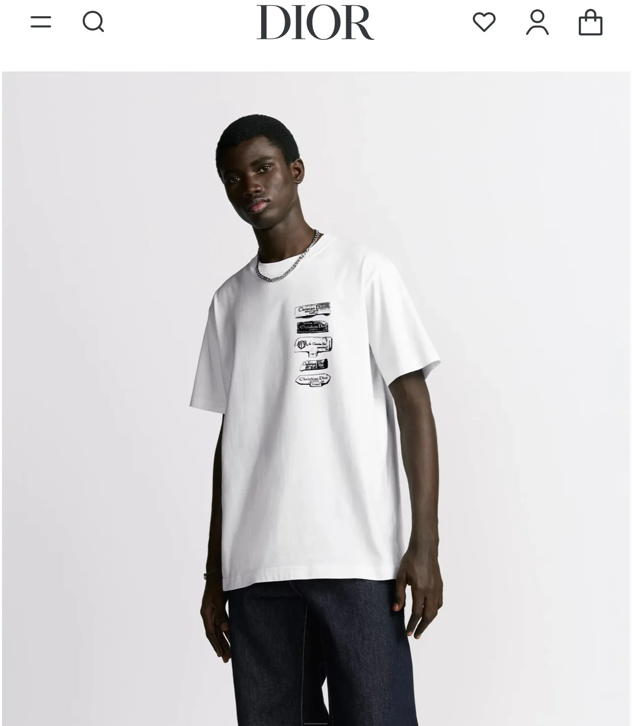 model picture