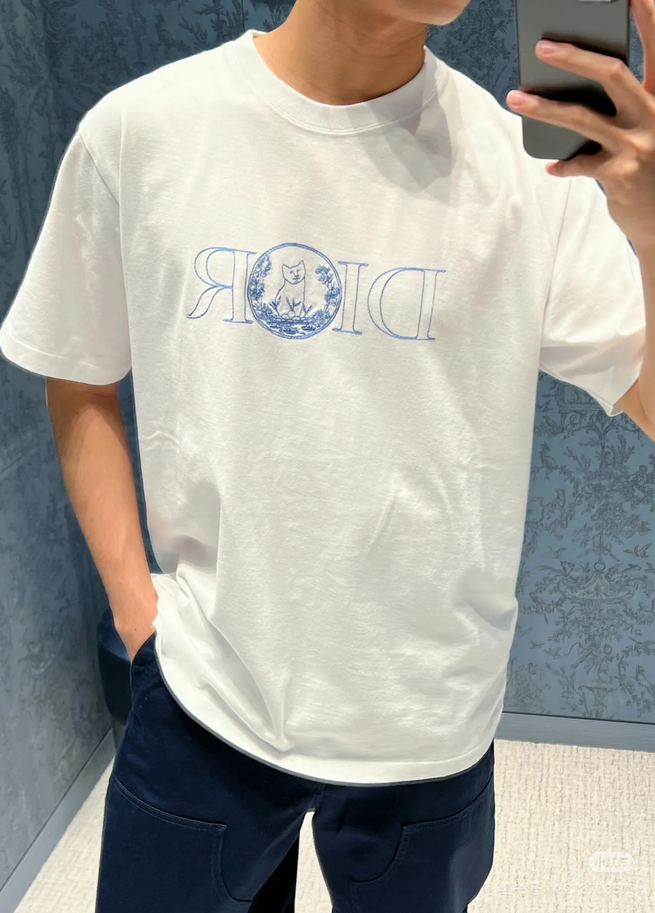 model picture