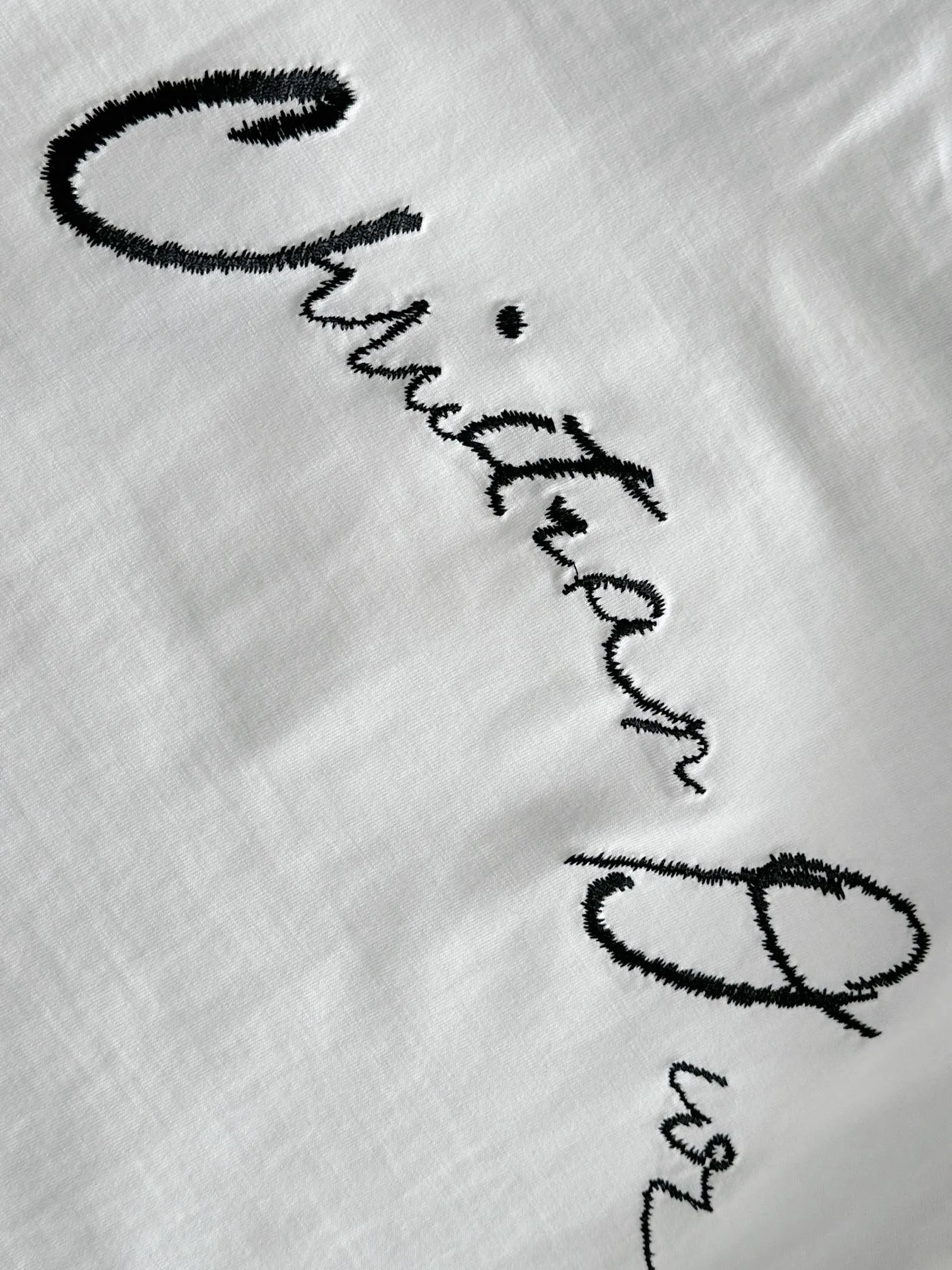 🅿️170 (arrives the next day) Dior 2025 new flower seedling embroidered letter logo Unisex short-sleeved T-shirt ·Customized 260g 100% double yarn pure cotton fabric ·Imported Tajima machine embroidery technology ·Custom dyed 32 double-strand threads ·Collar tag, main mark and three labels complete Color: White Size: XS S M L