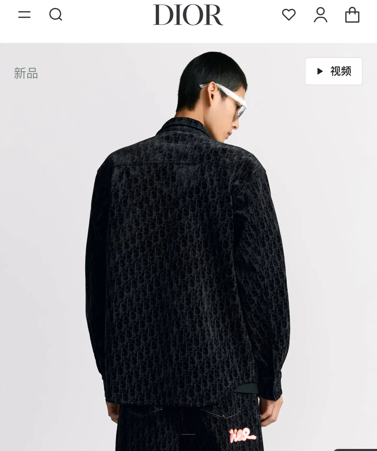 model picture