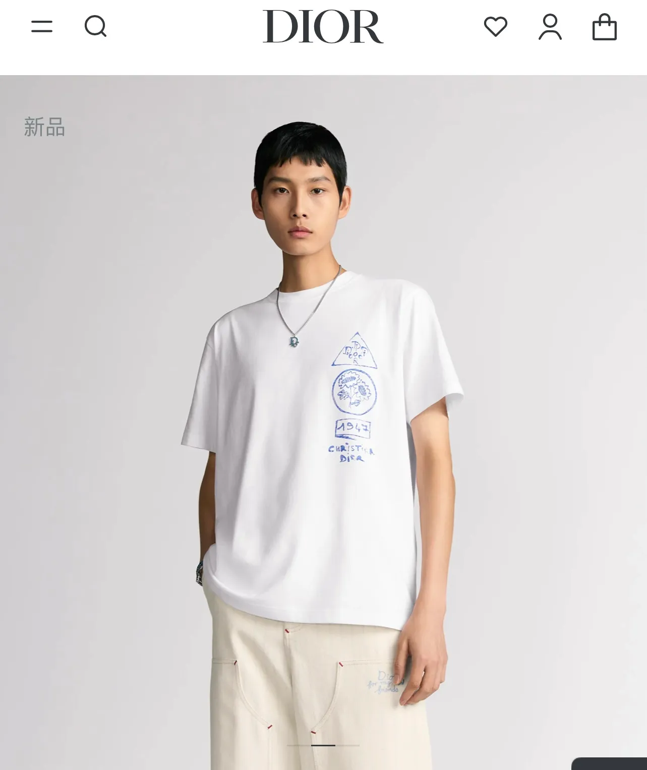model picture