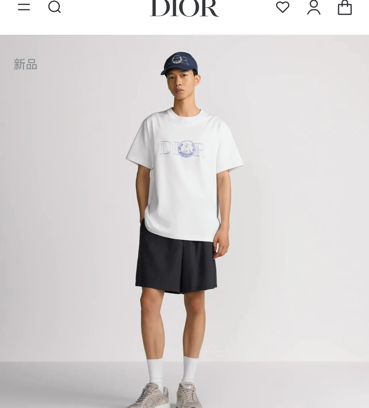 model picture