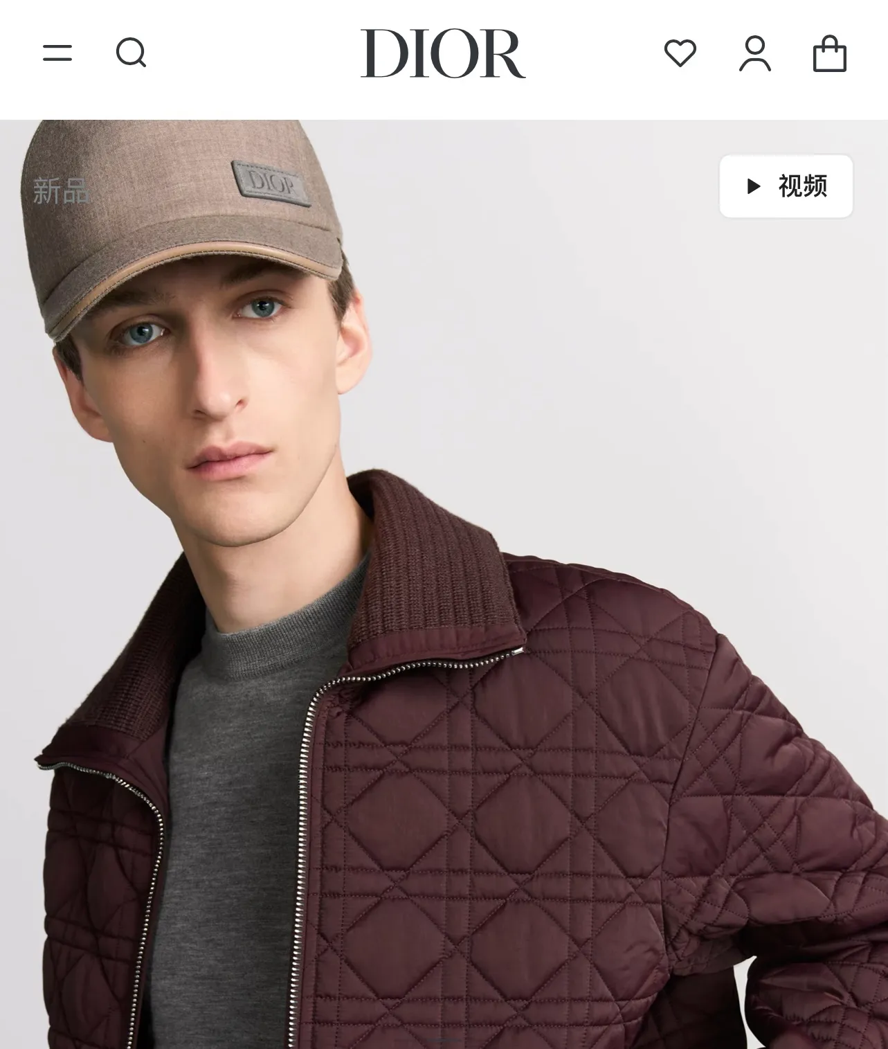 model picture
