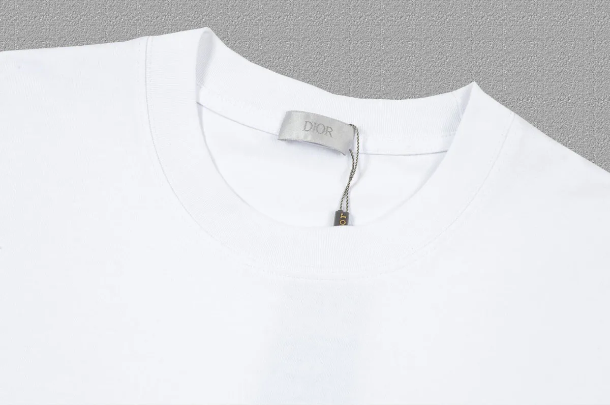 🅿️170 [DIOR Dior] 2025FW short-sleeved T-shirt embroidery, high-end 26s double yarn 300g fabric, heavy fabric, custom stretcher rib, same cylinder and dye, complete three standards, same style for men and women, color: black, white, gray, size: S M L XL 2XL