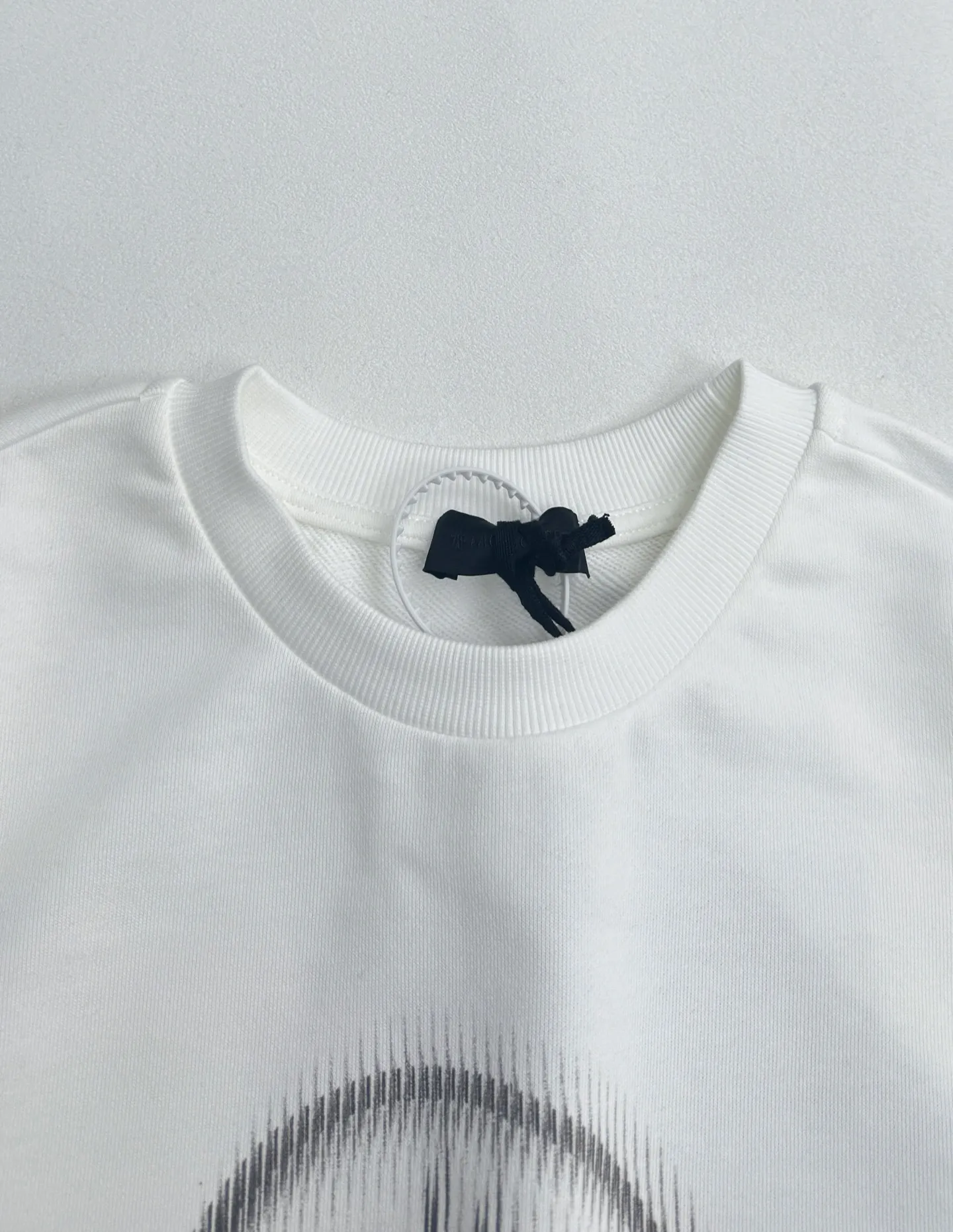 P350 Moncler printed armband round neck sweatshirt S/M/L/XL