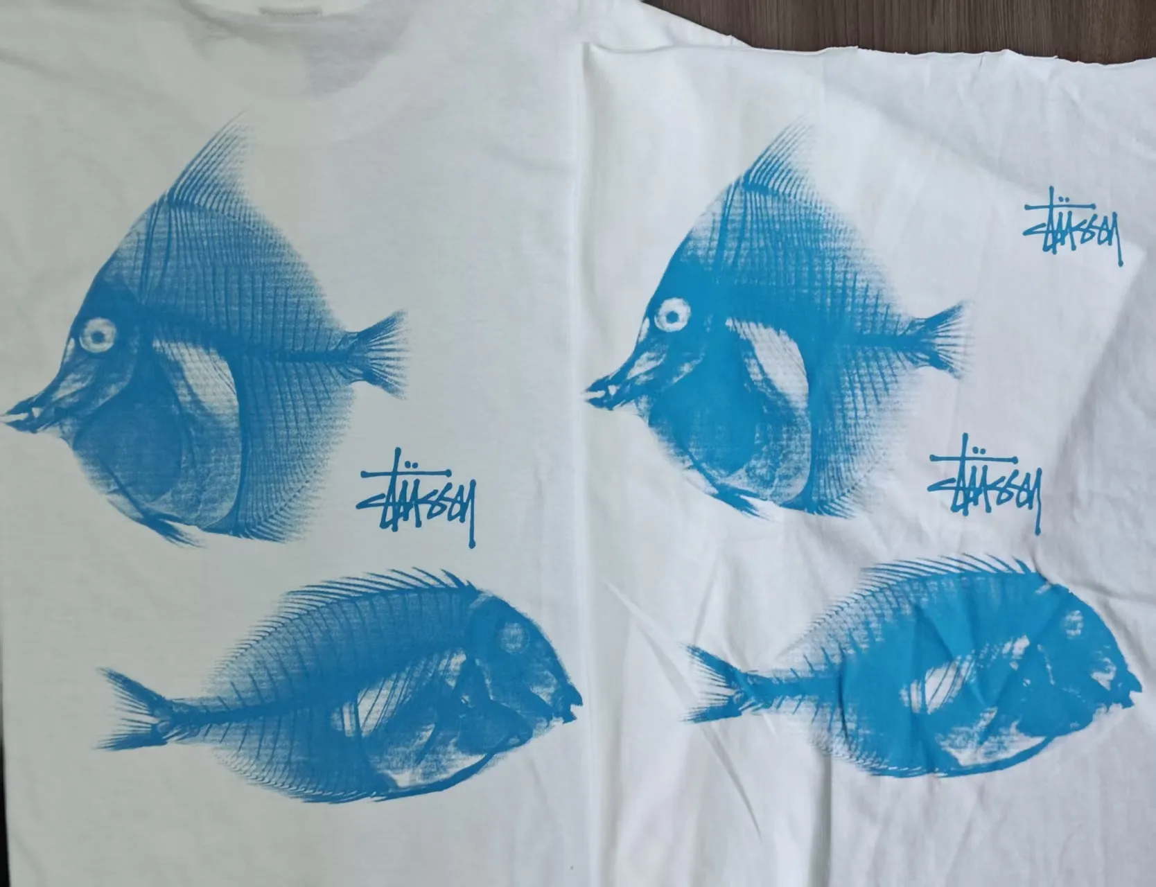 New model preview: Fishbone T-shirt STUSSY 25SS