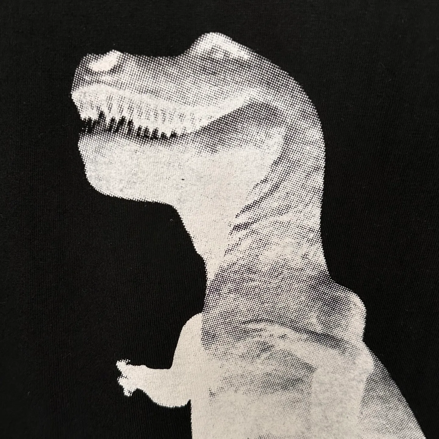 Tyrannosaurus Rex T-shirt STUSSY SS25 BIG & MEATY TEE PIGMENT DYED Dinosaur pattern short-sleeved black and white S- XL