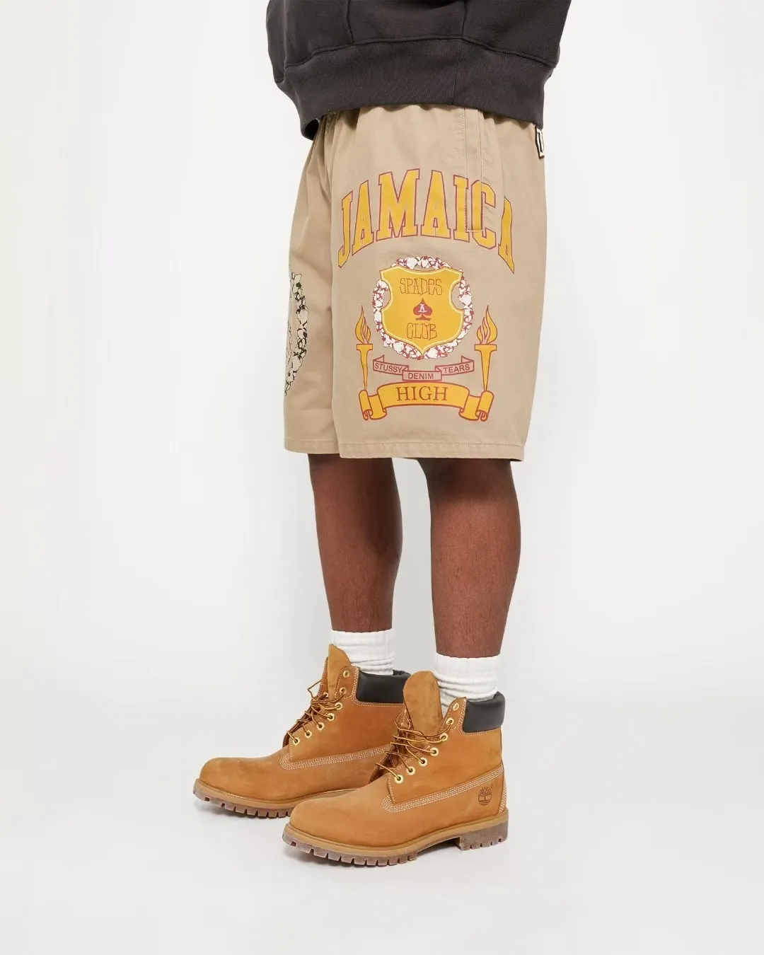 DT shorts STUSSY