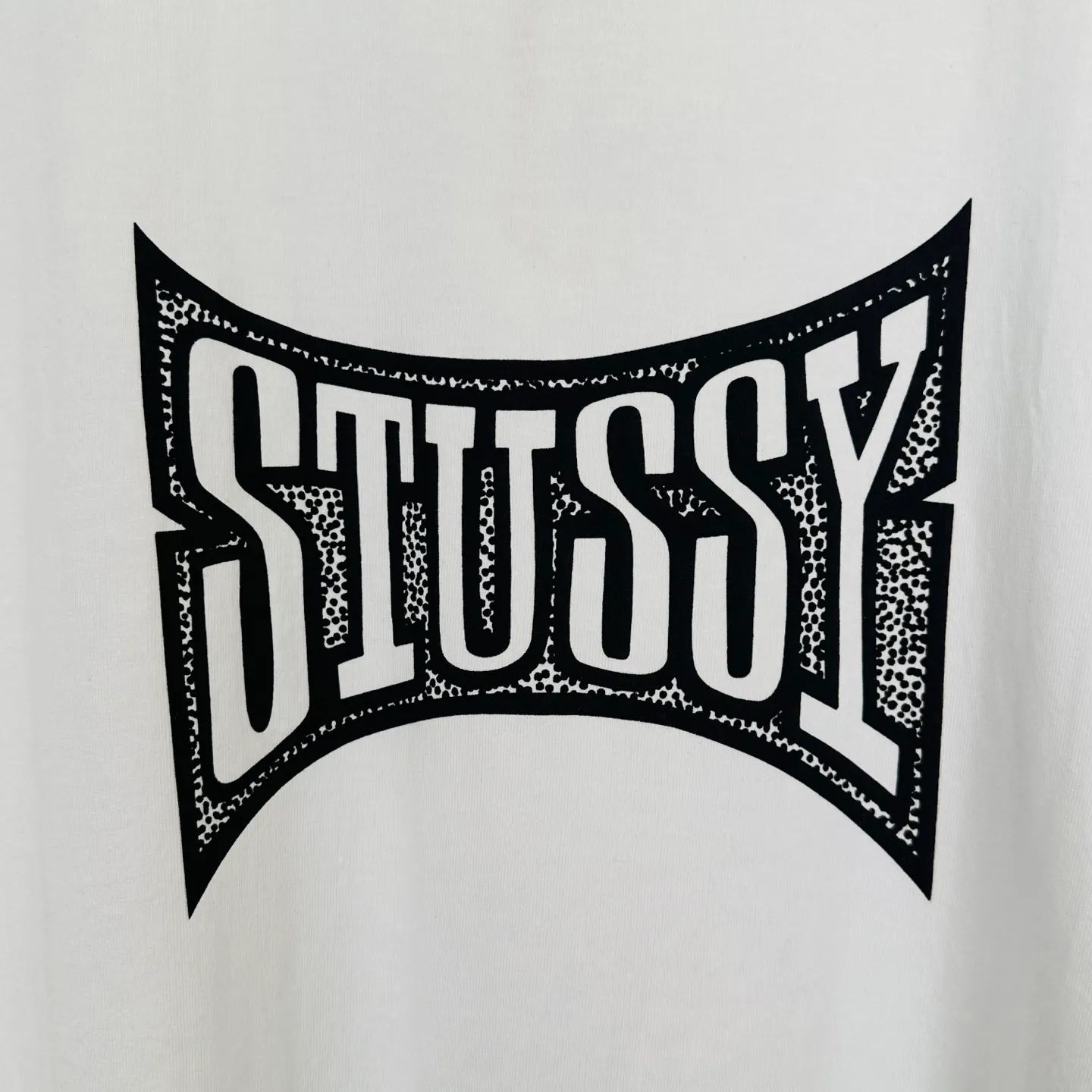 Replacement order and return of goods! Champion flag T-shirt STUSSY FW24 CHAMPION TEE black and white S-XL