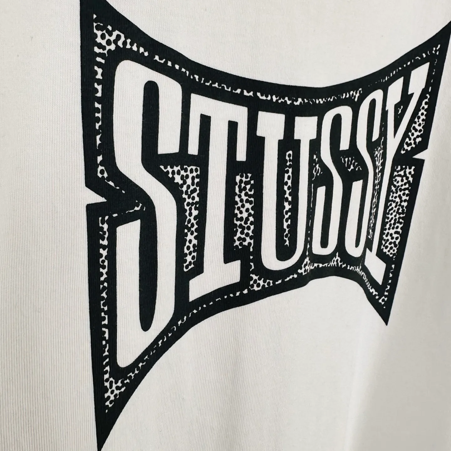 Replacement order and return of goods! Champion flag T-shirt STUSSY FW24 CHAMPION TEE black and white S-XL