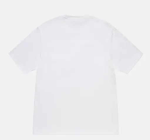 DT short-sleeved STUSSY X DENIM joint model SS25 TEARS ANNIE LEE TEE white S- XL