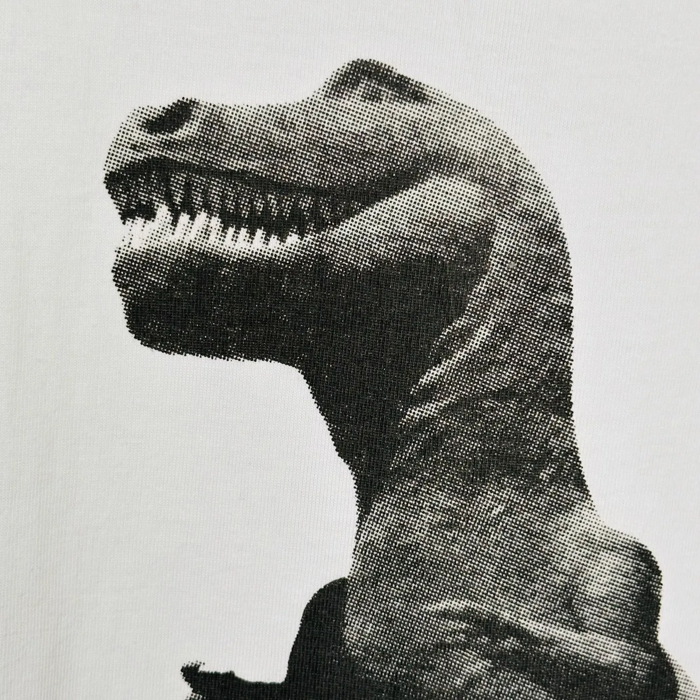 Tyrannosaurus Rex T-shirt STUSSY SS25 BIG & MEATY TEE PIGMENT DYED Dinosaur pattern short-sleeved black and white S- XL