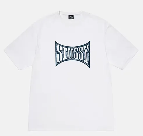 Champion flag T-shirt STUSSY FW24 CHAMPION TEE black and white S-XL