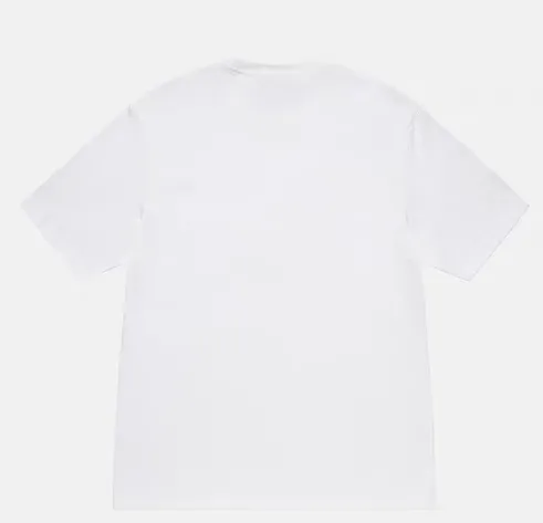 Champion flag T-shirt STUSSY FW24 CHAMPION TEE black and white S-XL