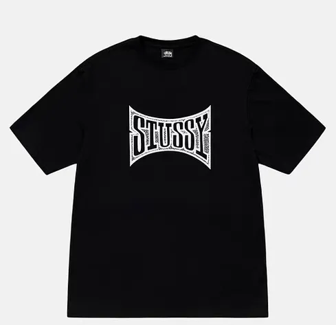 Champion flag T-shirt STUSSY FW24 CHAMPION TEE black and white S-XL