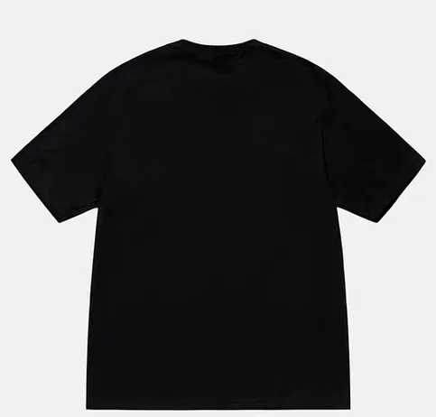 Champion flag T-shirt STUSSY FW24 CHAMPION TEE black and white S-XL